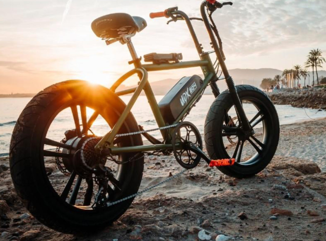 udx fat bike